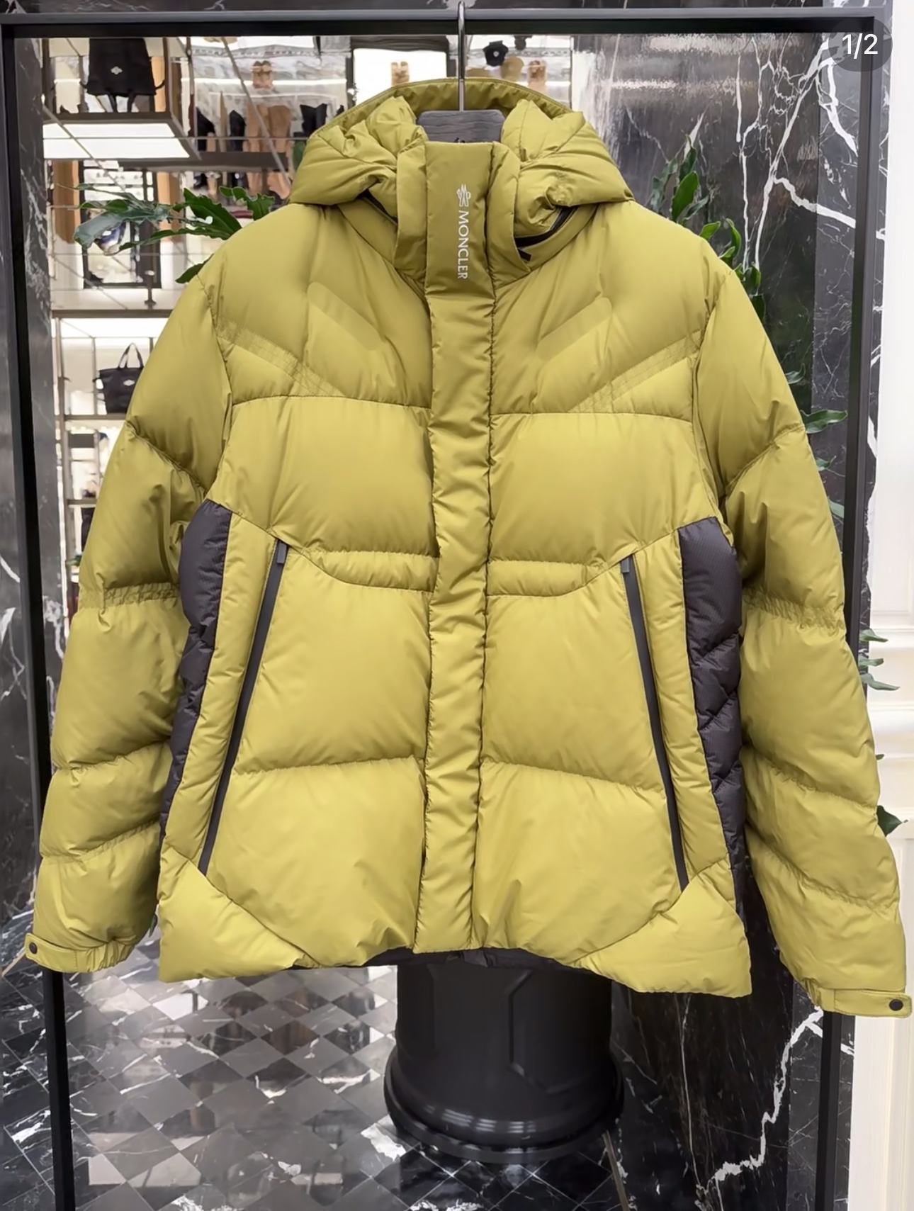 Moncler Down Jackets